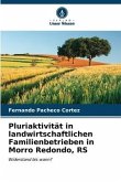 Pluriaktivität in landwirtschaftlichen Familienbetrieben in Morro Redondo, RS