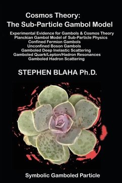 Cosmos Theory - Blaha, Stephen