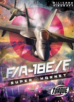 Cover F/A-18e/F Super Hornet