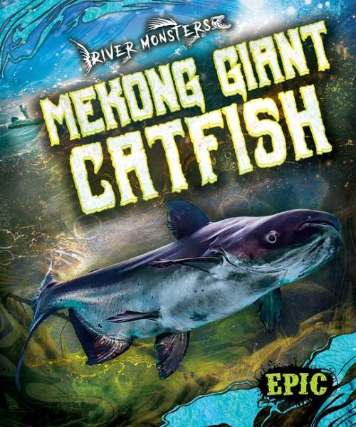 Mekong Giant Catfish Mekong Giant Catfish