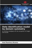 Data identification model by domain symmetry