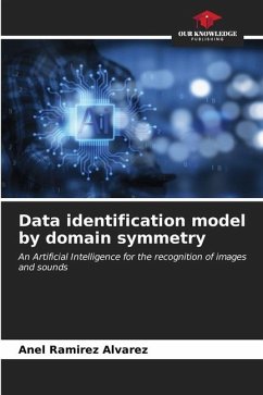 Data identification model by domain symmetry - Ramirez Alvarez, Anel