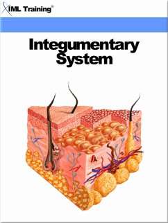 Integumentary System (Human Body) (eBook, ePUB) - Training, Iml