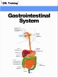 Gastrointestinal System (Human Body)... - Bild 1