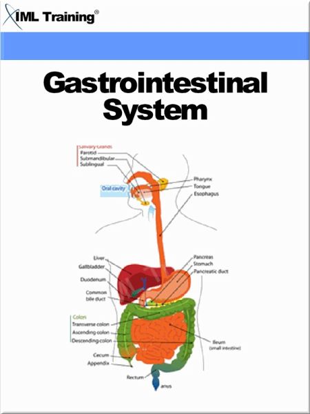 Gastrointestinal System (Human Body) (eBook, ePUB)
