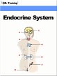 Endocrine System (Human Body) (eBook,... - Bild 1
