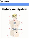 Endocrine System (Human Body) (eBook, ePUB)