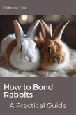 How to Bond Rabbits: A Practical Guide (eBook, ePUB)