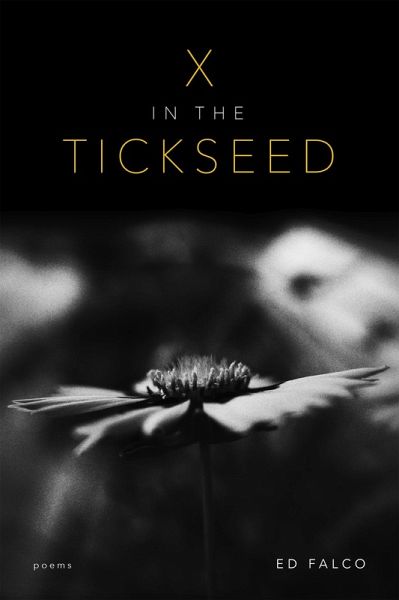 X in the Tickseed (eBook, ePUB)