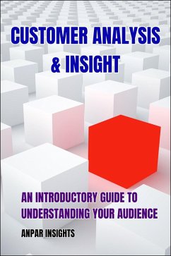 Customer Analysis & Insight: An Introductory Guide To Understanding Your Audience (eBook, ePUB) - Insights, Anpar