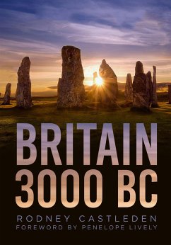 Britain 3000 BC (eBook, ePUB) - Castleden, Rodney