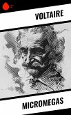 Micromegas (eBook, ePUB)