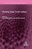 Working Class Youth Culture (eBook, PDF)