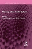 Working Class Youth Culture (eBook, ePUB)