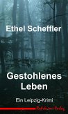 Gestohlenes Leben (eBook, ePUB)