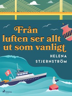 Cover Från luften ser allt ut som vanligt (eBook, ePUB)