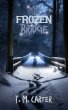 The Frozen Bridge (A Detective Rooks... - Bild 1