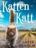 Katten Katt (eBook, ePUB)