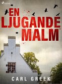 En ljugande malm (eBook, ePUB)