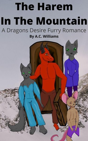 The Harem in the Mountain (eBook, ePUB)