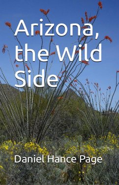 Arizona, the Wild Side (eBook, ePUB) - Page, Daniel Hance