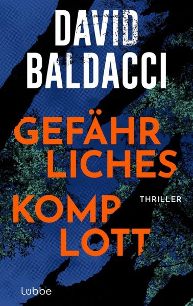 Gefährliches Komplott (eBook, ePUB)