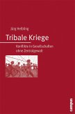 Tribale Kriege (eBook, PDF)