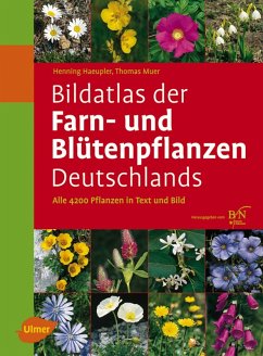 Bildatlas der Farn- und Blütenpflanzen Deutschlands (eBook, PDF) - Haeupler, Henning; Muer, Thomas; Loos, Götz Heinrich