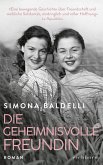 Die geheimnisvolle Freundin (eBook, ePUB)