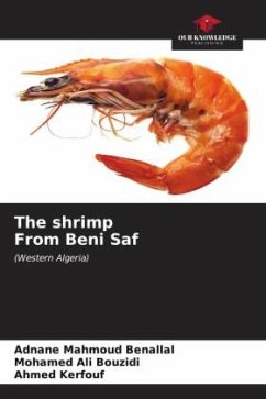 The shrimp From Beni Saf - Mahmoud Benallal, Adnane;Ali Bouzidi, Mohamed;Kerfouf, Ahmed