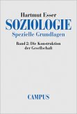 Soziologie. Spezielle Grundlagen (eBook, PDF)