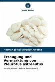 Erzeugung und Vermarktung von Pleurotus ostreautus