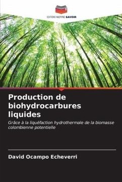 Production de biohydrocarbures liquides - Ocampo Echeverri, David