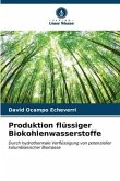 Produktion flüssiger Biokohlenwasserstoffe
