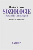 Soziologie. Spezielle Grundlagen (eBook, PDF)