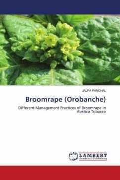 Broomrape (Orobanche) - PANCHAL, JALPA