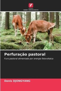 Perfuração pastoral - DJONGYANG, Denis