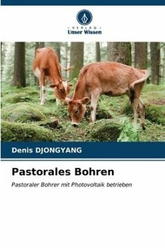 Pastorales Bohren - DJONGYANG, Denis