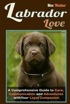 Labrador Love - Walker, Max