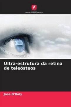 Ultra-estrutura da retina de teleósteos - O'Daly, Jose
