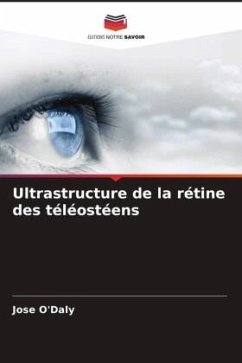 Ultrastructure de la rétine des téléostéens - O'Daly, Jose