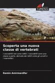 Scoperta una nuova classe di vertebrati