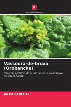 Vassoura-de-bruxa (Orobanche) - PANCHAL, JALPA