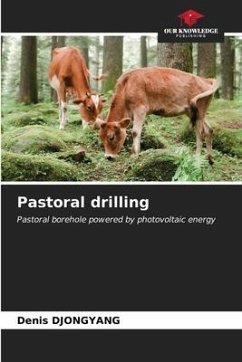 Pastoral drilling - DJONGYANG, Denis