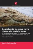 Descoberta de uma nova classe de vertebrados