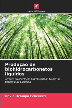 Produção de biohidrocarbonetos líquidos - Ocampo Echeverri, David