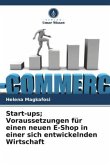 Start-ups; Voraussetzungen für einen neuen E-Shop in einer sich entwickelnden Wirtschaft