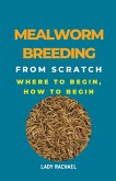 Mealworm Breeding From Scratch