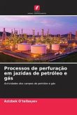 Processos de perfuração em jazidas de petróleo e gás
