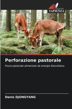 Perforazione pastorale - DJONGYANG, Denis